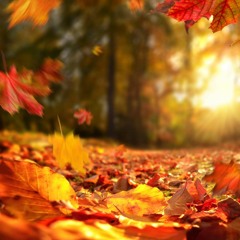 Fall (prod. by JGW & ENVO)