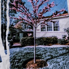 I'm Not Around