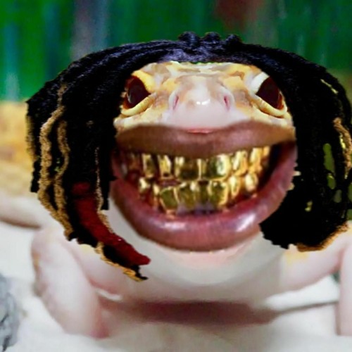 YNW MELLY JOOKS TILL HE DIES (SEXTRANCE VOL 1)