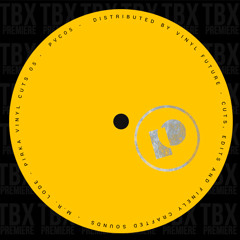 PREMIERE: M.R. LODE - Rhythms Of The Night [PVC Records]