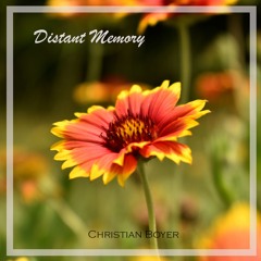 Christian Boyer - Distant Memory