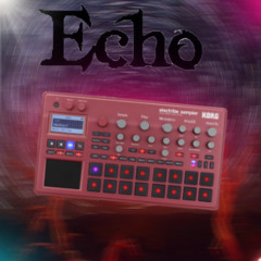 Echo(Test)