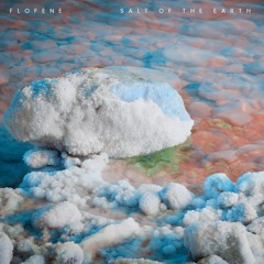 Salt Of The Earth