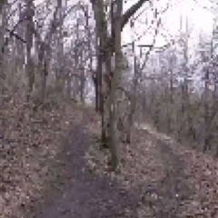 baisiai