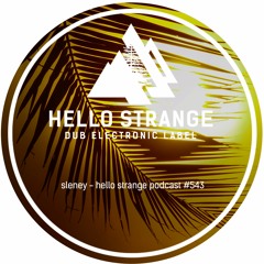 sleney - hello strange podcast #543