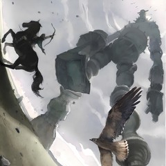 chasing echoes