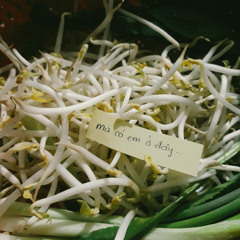 Nhu vay nhe Ga fix.mp3