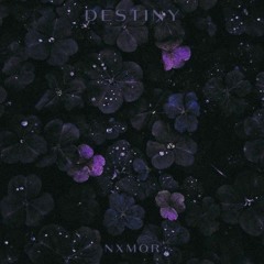 DESTINY