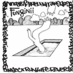 Fungini Part 1. Improvisational Sleeep