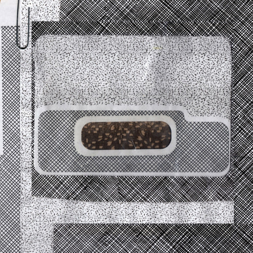 Buen Aurelio Malazar - pró.digo