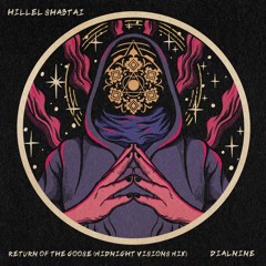 Premiere: Hillel Shabtai - Return Of The Goose (Midnight Visions Mix) [DIALNINE]