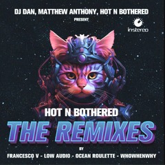 Hot N Bothered (WHOWHENWHY Remix) - DJ Dan, Matthew Anthony, Hot N Bothered