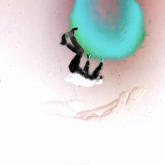 Free Fall