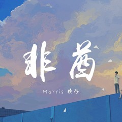 Morris赖仔 - 非酋 (抖音版)【動態歌詞/Lyrics Video】