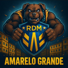 BAILE ROLA NO AMARELINHO, ELA QUER ANDAR DE BYD (( DJ RD SAN ))