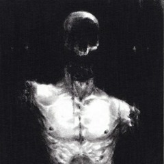 Solitario - Robo