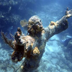 Best Snorkel At John Pennekamp In Key Largo Prices Reviews