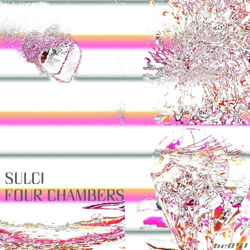 Sulci - Bloodsports (Fragile X remix)