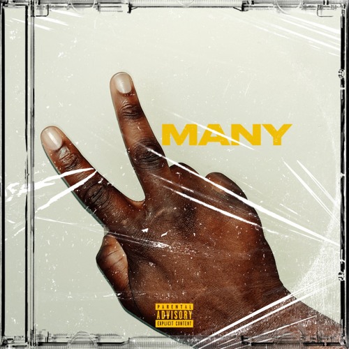 2MANY (Prod. $ICARIU$)