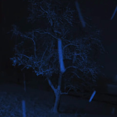 oxys(prod.@okaypeyton)