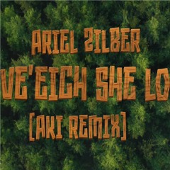 Ariel Zilber - Ve'eich She Lo (Aki Remix) | אריאל זילבר - ואיך שלא רמיקס