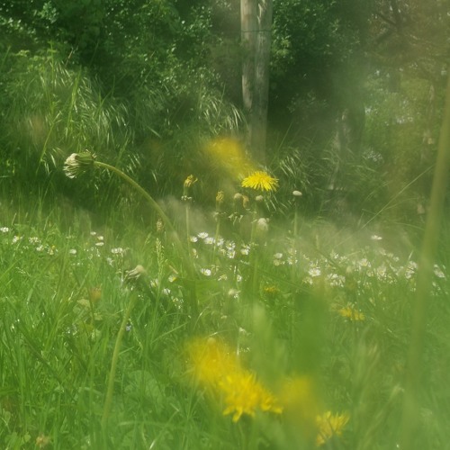 maths / spring