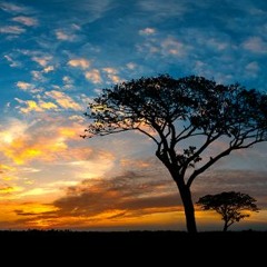 Beyond The Horizon - A Collaboration with Darren Jenkins