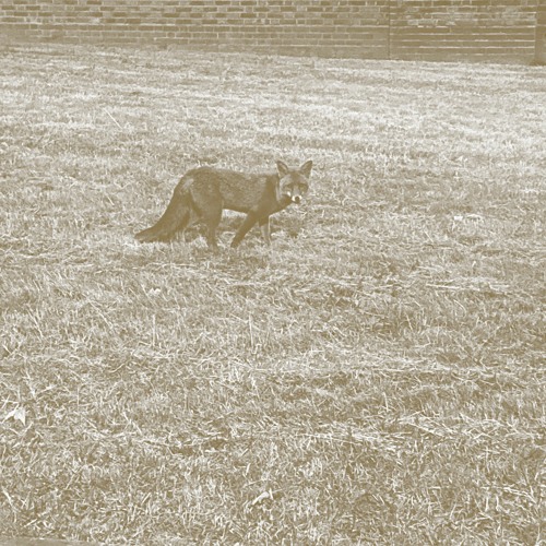 DRILLPREMIERE: Lack - Focus Object [Blank Mind]