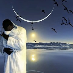 White flag (Feng remix prod by Haruki)