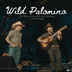 Zac Brown Band & Cody Johnson - Wild Palomino (Live At Fenway)