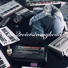 the2voicesinmyhead (prod. QUITAll )
