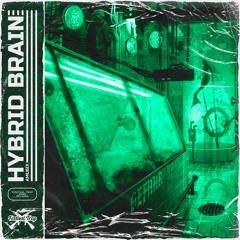 AMU6iX - Hybrid Brain