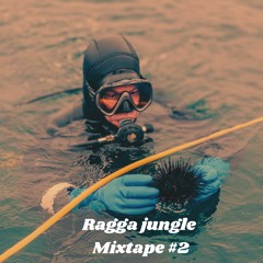 Ragga jungle mixtape #2