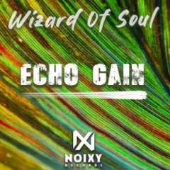 Echo Gain - Wizard Of Soul ( Original Mix )