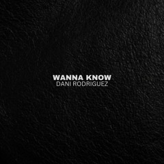 WANNA KNOW - DANI RODRIGUEZ (FREE DOWNLOAD)