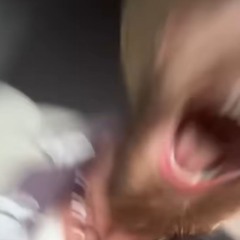 Mois Kontrollieren Remix - GottDankBar