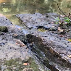 Watershed (Clarinet Quintet)