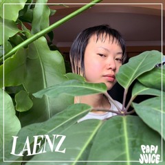 Papi Juice Mix: Laenz