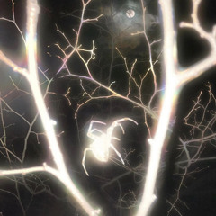 VAMP CLUB FREESTYLE PROD W4ddles