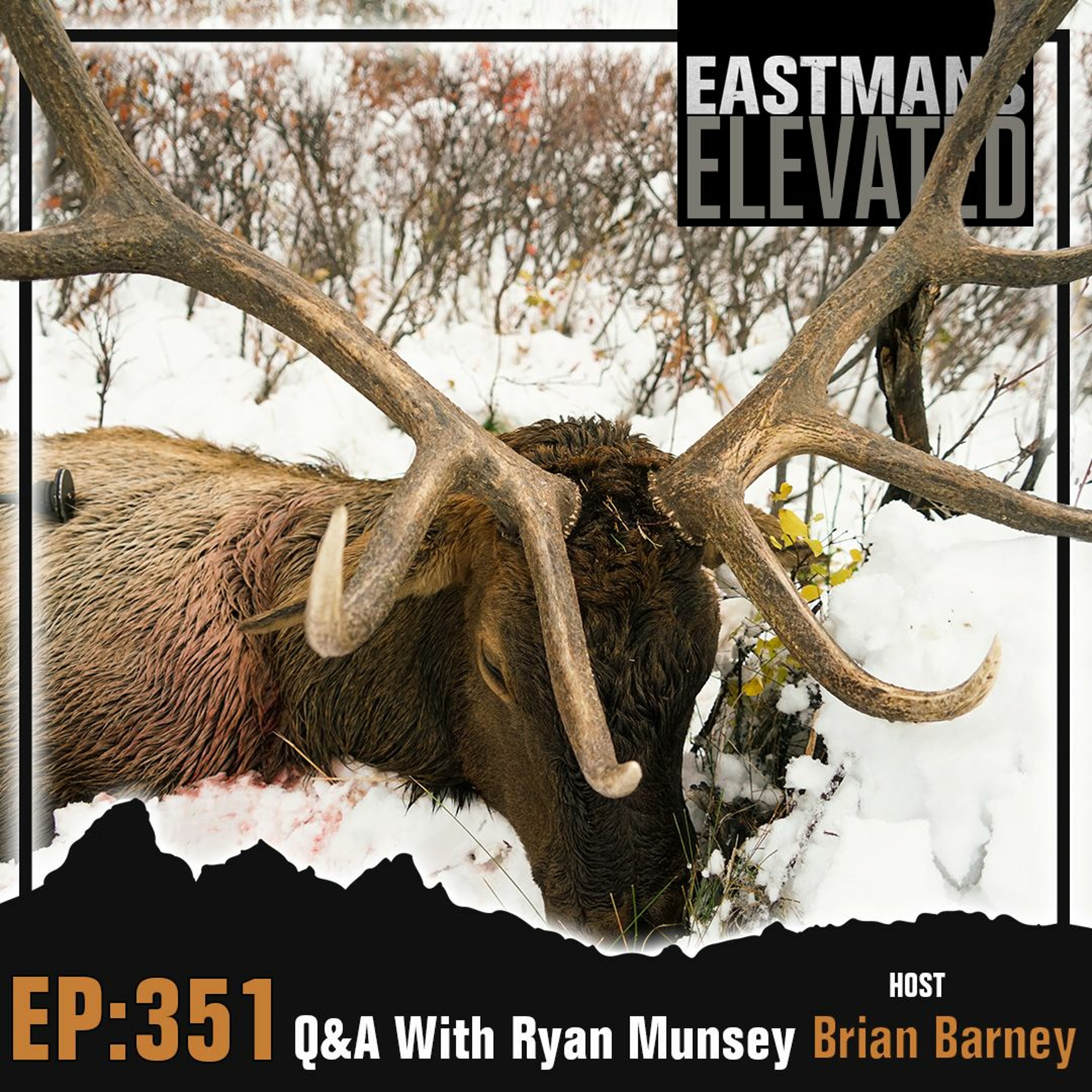 Episode 351:  Q and A With Brian Barney and Ryan Munsey