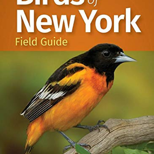 [ACCESS] EPUB 💔 Birds of New York Field Guide (Bird Identification Guides) by  Stan