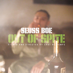 Seuss Boe - Out of Spite