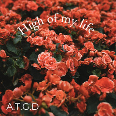 High of my life