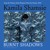Artwork for Burnt Shadows by Kamila Shamsie, read by Tania Rodrigues