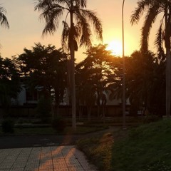 Chàng Trai Bất Tử ft Bồ Công Anh - Siu Max Remix
