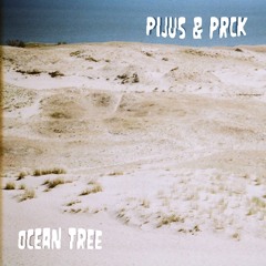Ocean Tree (feat. Prck)