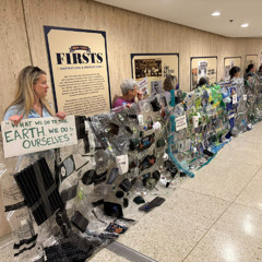 What Enivronmental Issues will Assembly Pass Before Adjourning