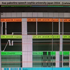 Behaarde Glimlach - Free Palestine Speech Sophia University Japan 2024