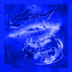 stay true∞(prod. shanmarino)