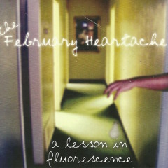 Courtney's Breakdown